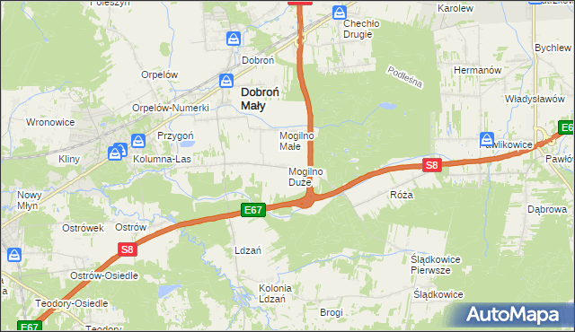 mapa Mogilno Duże, Mogilno Duże na mapie Targeo