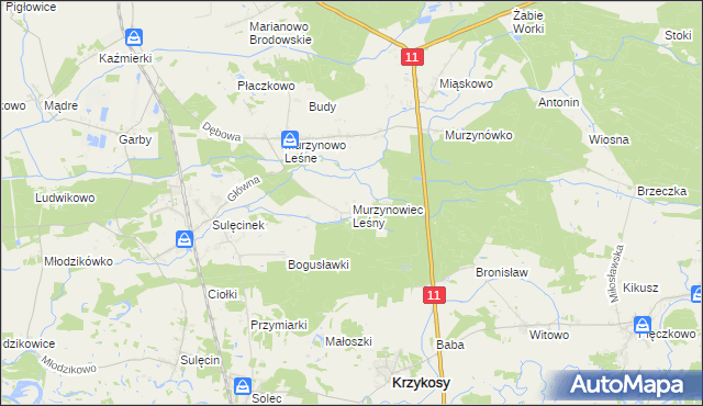 mapa Murzynowiec Leśny, Murzynowiec Leśny na mapie Targeo