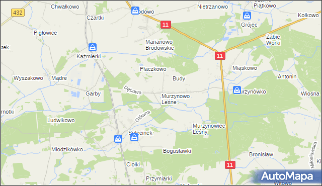 mapa Murzynowo Leśne, Murzynowo Leśne na mapie Targeo