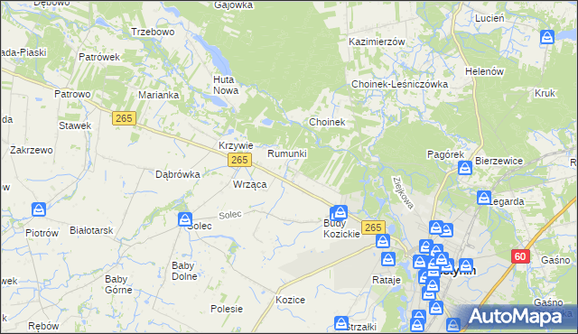 mapa Nagodów gmina Gostynin, Nagodów gmina Gostynin na mapie Targeo