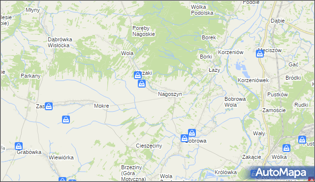 mapa Nagoszyn, Nagoszyn na mapie Targeo