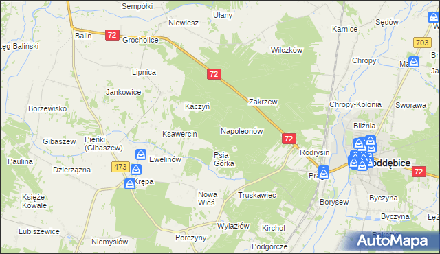 mapa Napoleonów gmina Poddębice, Napoleonów gmina Poddębice na mapie Targeo