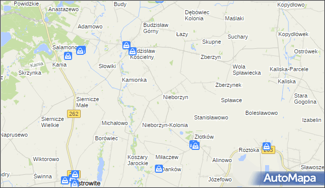 mapa Nieborzyn gmina Kleczew, Nieborzyn gmina Kleczew na mapie Targeo