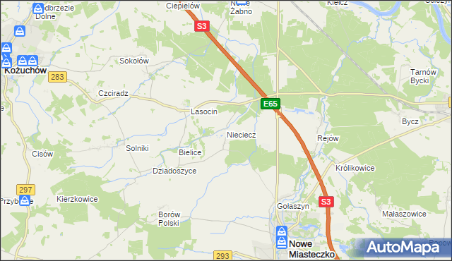 mapa Nieciecz gmina Nowe Miasteczko, Nieciecz gmina Nowe Miasteczko na mapie Targeo