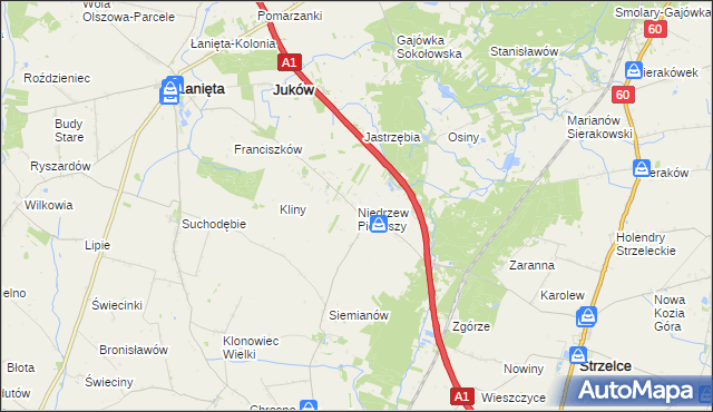mapa Niedrzew Pierwszy, Niedrzew Pierwszy na mapie Targeo