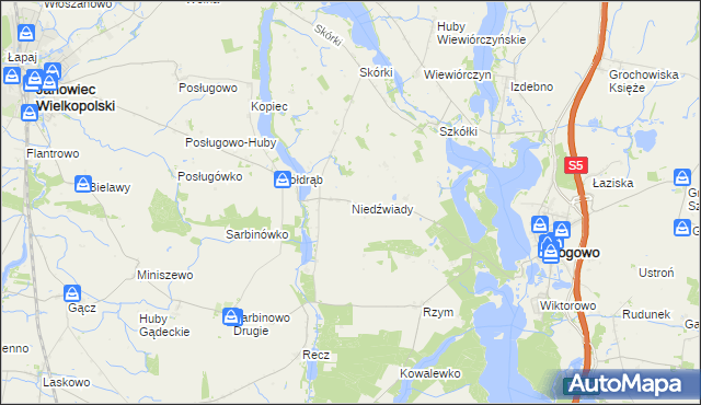 mapa Niedźwiady gmina Rogowo, Niedźwiady gmina Rogowo na mapie Targeo