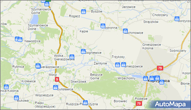 mapa Niedźwice, Niedźwice na mapie Targeo