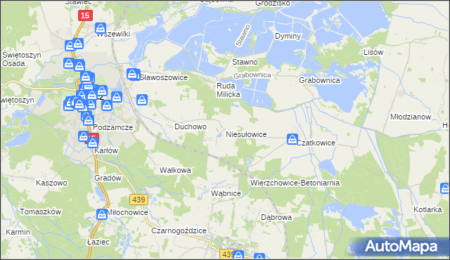 mapa Niesułowice gmina Milicz, Niesułowice gmina Milicz na mapie Targeo