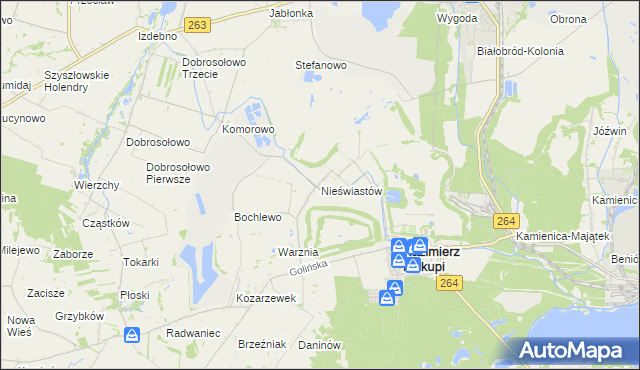 mapa Nieświastów, Nieświastów na mapie Targeo