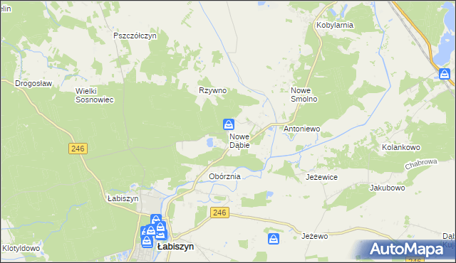 mapa Nowe Dąbie, Nowe Dąbie na mapie Targeo