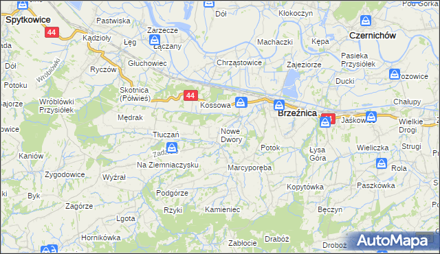 mapa Nowe Dwory gmina Brzeźnica, Nowe Dwory gmina Brzeźnica na mapie Targeo