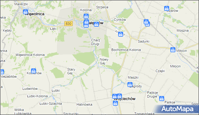 mapa Nowy Gaj gmina Wojciechów, Nowy Gaj gmina Wojciechów na mapie Targeo