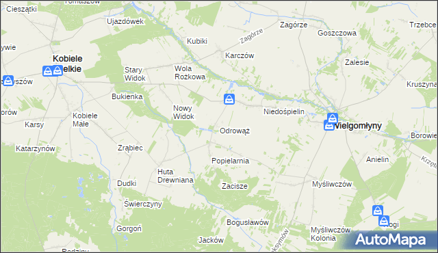 mapa Odrowąż gmina Wielgomłyny, Odrowąż gmina Wielgomłyny na mapie Targeo