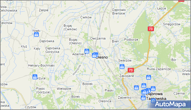 mapa Olesno powiat dąbrowski, Olesno powiat dąbrowski na mapie Targeo