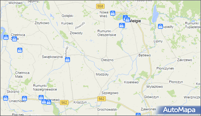 mapa Oleszno gmina Wielgie, Oleszno gmina Wielgie na mapie Targeo
