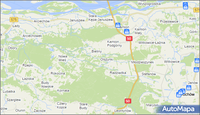 mapa Olszynki gmina Młodzieszyn, Olszynki gmina Młodzieszyn na mapie Targeo