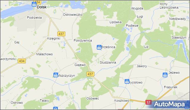 mapa Orliniec gmina Dolsk, Orliniec gmina Dolsk na mapie Targeo