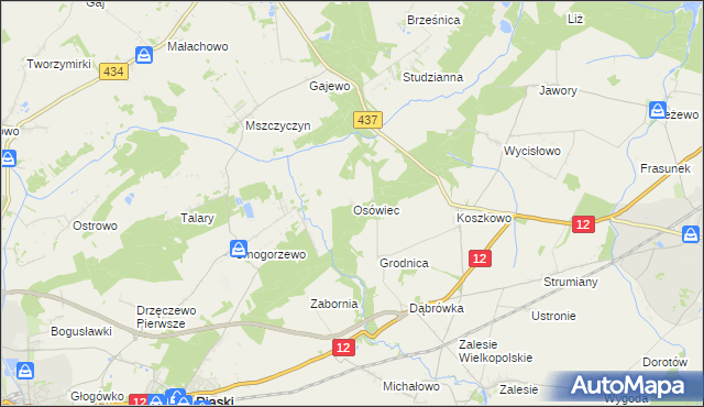 mapa Osówiec gmina Borek Wielkopolski, Osówiec gmina Borek Wielkopolski na mapie Targeo