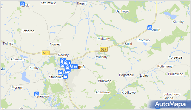 mapa Pachoły gmina Dzierzgoń, Pachoły gmina Dzierzgoń na mapie Targeo