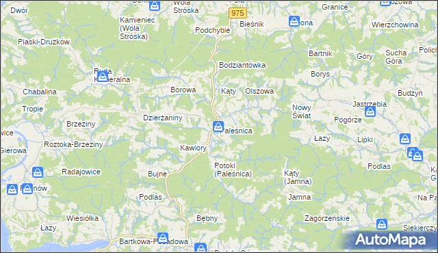 mapa Paleśnica, Paleśnica na mapie Targeo