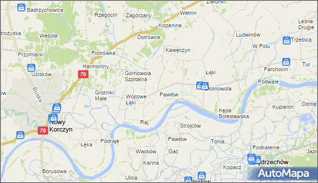 mapa Pawłów gmina Nowy Korczyn, Pawłów gmina Nowy Korczyn na mapie Targeo