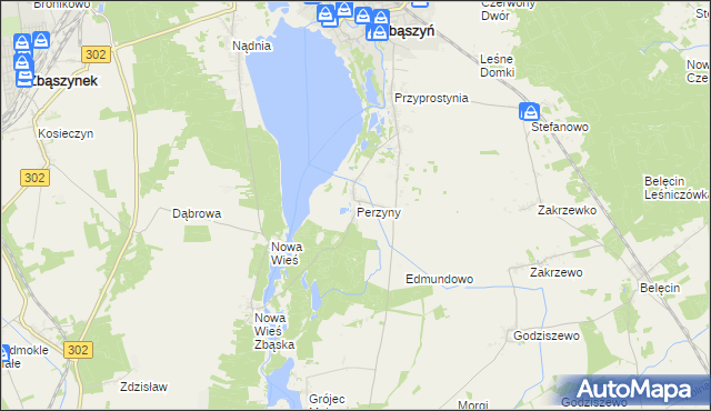 mapa Perzyny gmina Zbąszyń, Perzyny gmina Zbąszyń na mapie Targeo