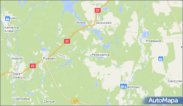 mapa Pestkownica, Pestkownica na mapie Targeo