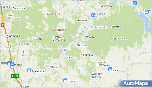 mapa Płazówka gmina Dzikowiec, Płazówka gmina Dzikowiec na mapie Targeo