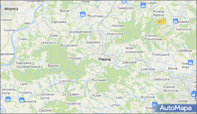mapa Pleśna powiat tarnowski, Pleśna powiat tarnowski na mapie Targeo
