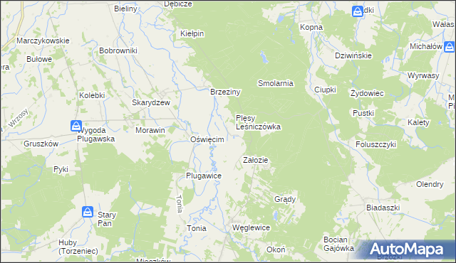 mapa Plęsy gmina Galewice, Plęsy gmina Galewice na mapie Targeo