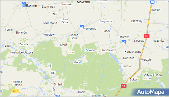 mapa Plewina, Plewina na mapie Targeo