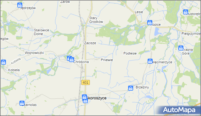 mapa Pniewie gmina Skoroszyce, Pniewie gmina Skoroszyce na mapie Targeo
