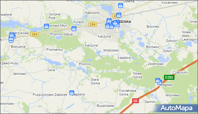 mapa Promno Leśniczówka, Promno Leśniczówka na mapie Targeo