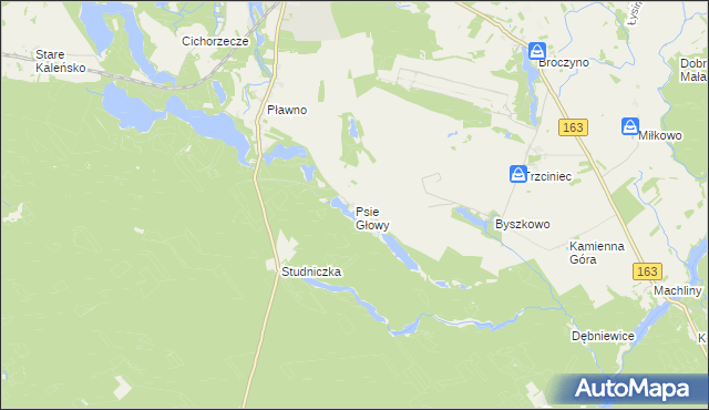 mapa Psie Głowy, Psie Głowy na mapie Targeo