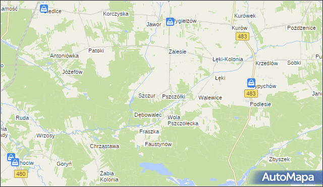 mapa Pszczółki gmina Zelów, Pszczółki gmina Zelów na mapie Targeo