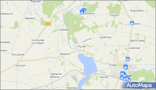 mapa Pturek, Pturek na mapie Targeo