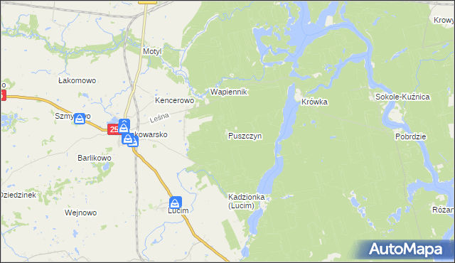 mapa Puszczyn gmina Koronowo, Puszczyn gmina Koronowo na mapie Targeo