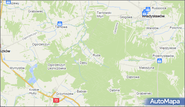 mapa Ruda gmina Tuliszków, Ruda gmina Tuliszków na mapie Targeo