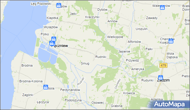 mapa Rudniki gmina Pęczniew, Rudniki gmina Pęczniew na mapie Targeo