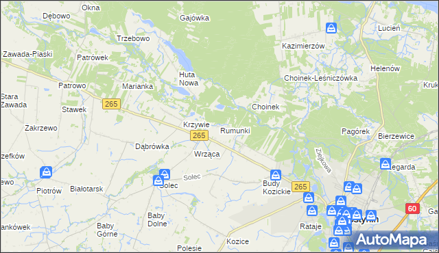 mapa Rumunki gmina Gostynin, Rumunki gmina Gostynin na mapie Targeo