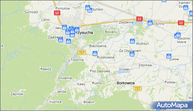 mapa Ruszkowice gmina Borkowice, Ruszkowice gmina Borkowice na mapie Targeo