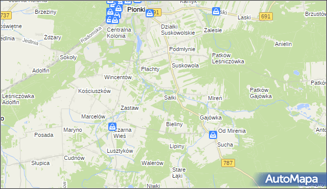 mapa Sałki gmina Pionki, Sałki gmina Pionki na mapie Targeo