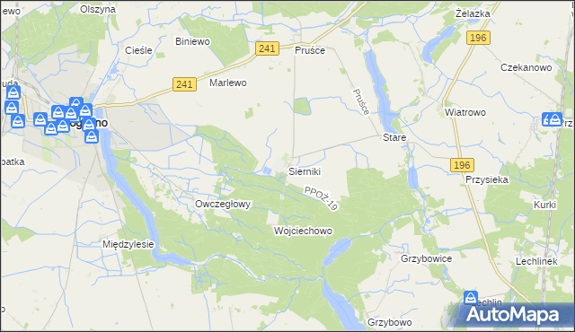 mapa Sierniki gmina Rogoźno, Sierniki gmina Rogoźno na mapie Targeo