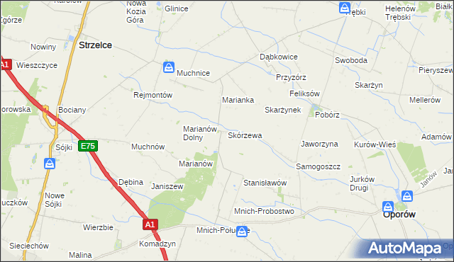 mapa Skórzewa, Skórzewa na mapie Targeo