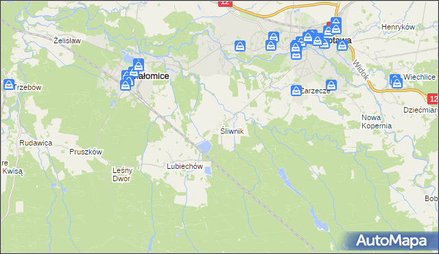 mapa Śliwnik, Śliwnik na mapie Targeo