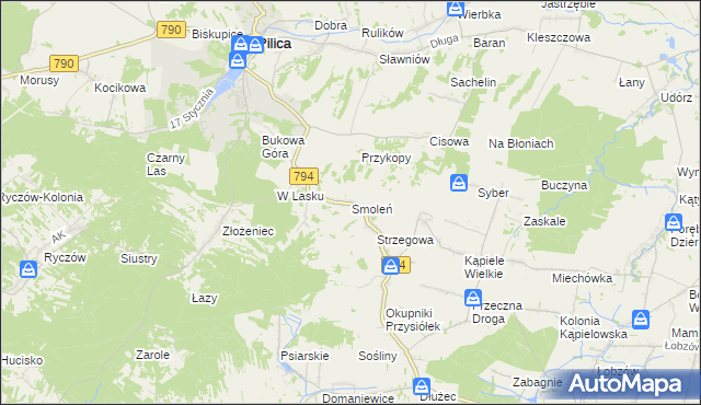 mapa Smoleń gmina Pilica, Smoleń gmina Pilica na mapie Targeo
