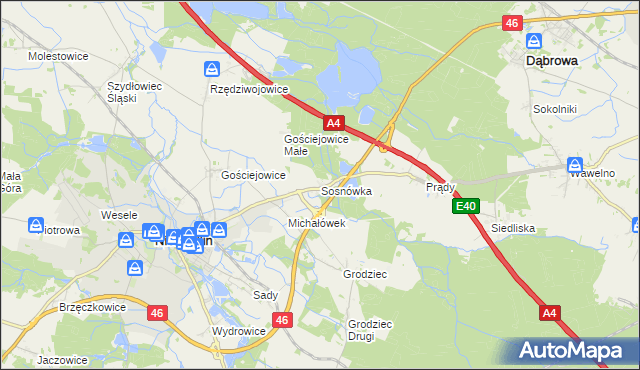 mapa Sosnówka gmina Niemodlin, Sosnówka gmina Niemodlin na mapie Targeo