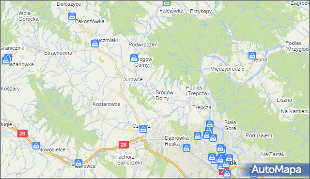 mapa Srogów Dolny, Srogów Dolny na mapie Targeo