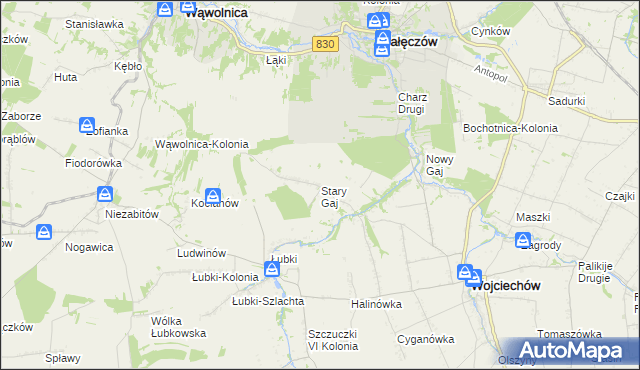mapa Stary Gaj gmina Wojciechów, Stary Gaj gmina Wojciechów na mapie Targeo