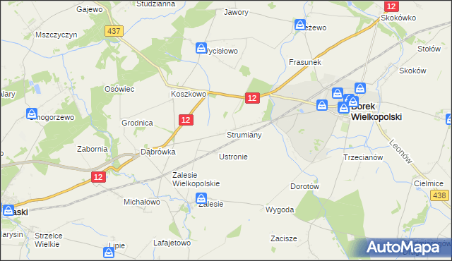 mapa Strumiany gmina Borek Wielkopolski, Strumiany gmina Borek Wielkopolski na mapie Targeo